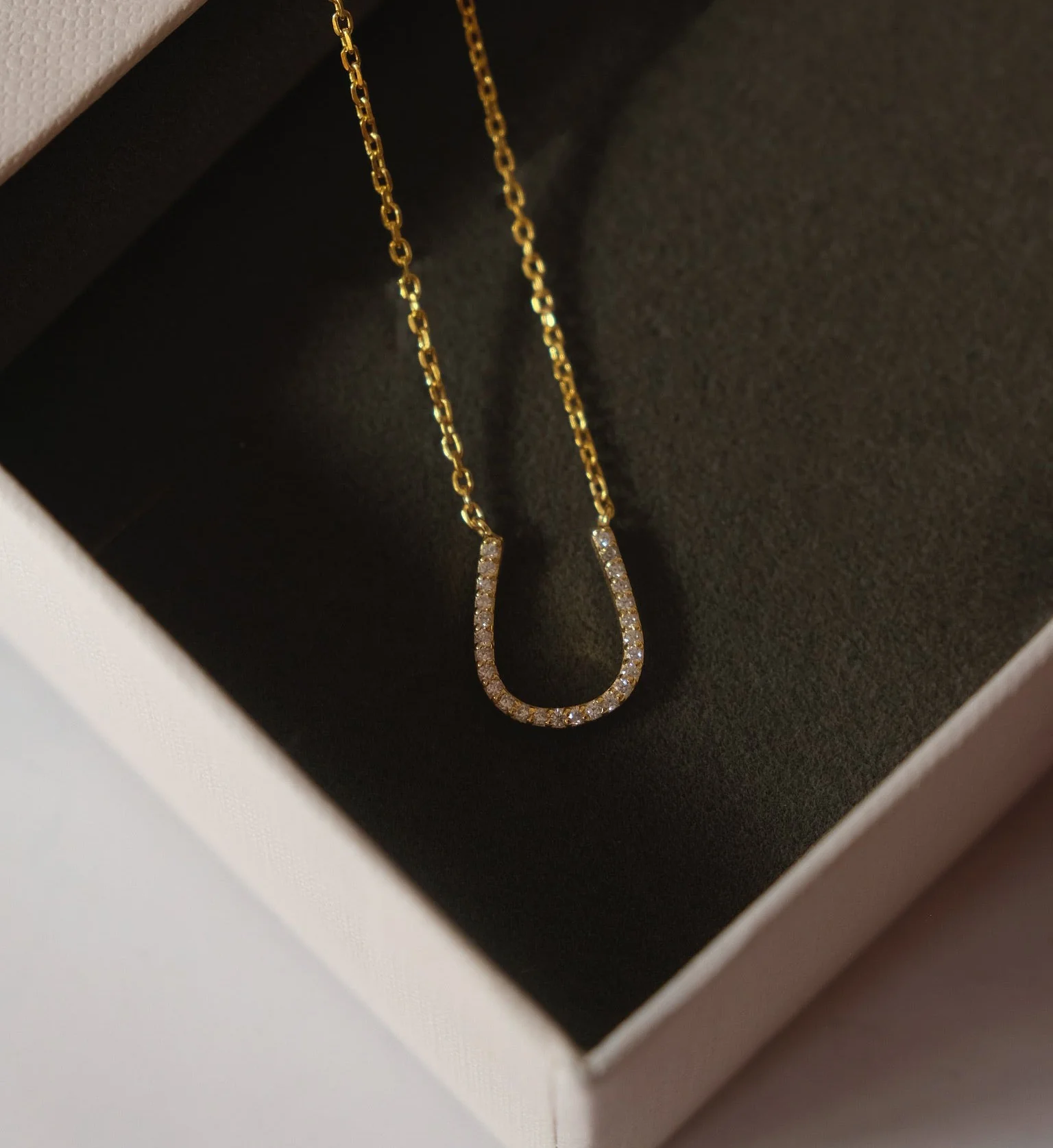 Horseshoe Necklace - Image 4